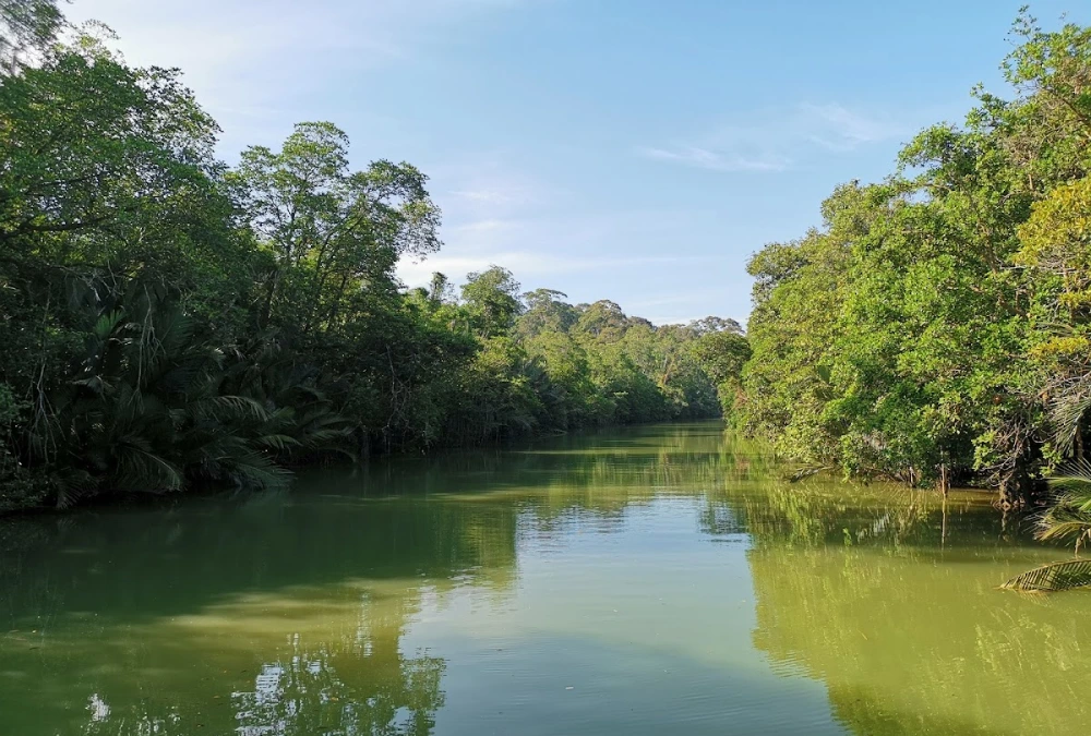 The 9 Best Bintulu Attractions Every Traveler Should Visit! 3 Bintulu trip