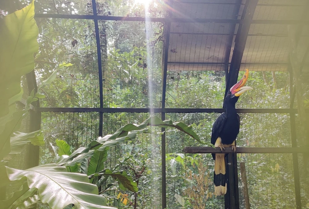 The 9 Best Bintulu Attractions Every Traveler Should Visit! 5 Bintulu famous place