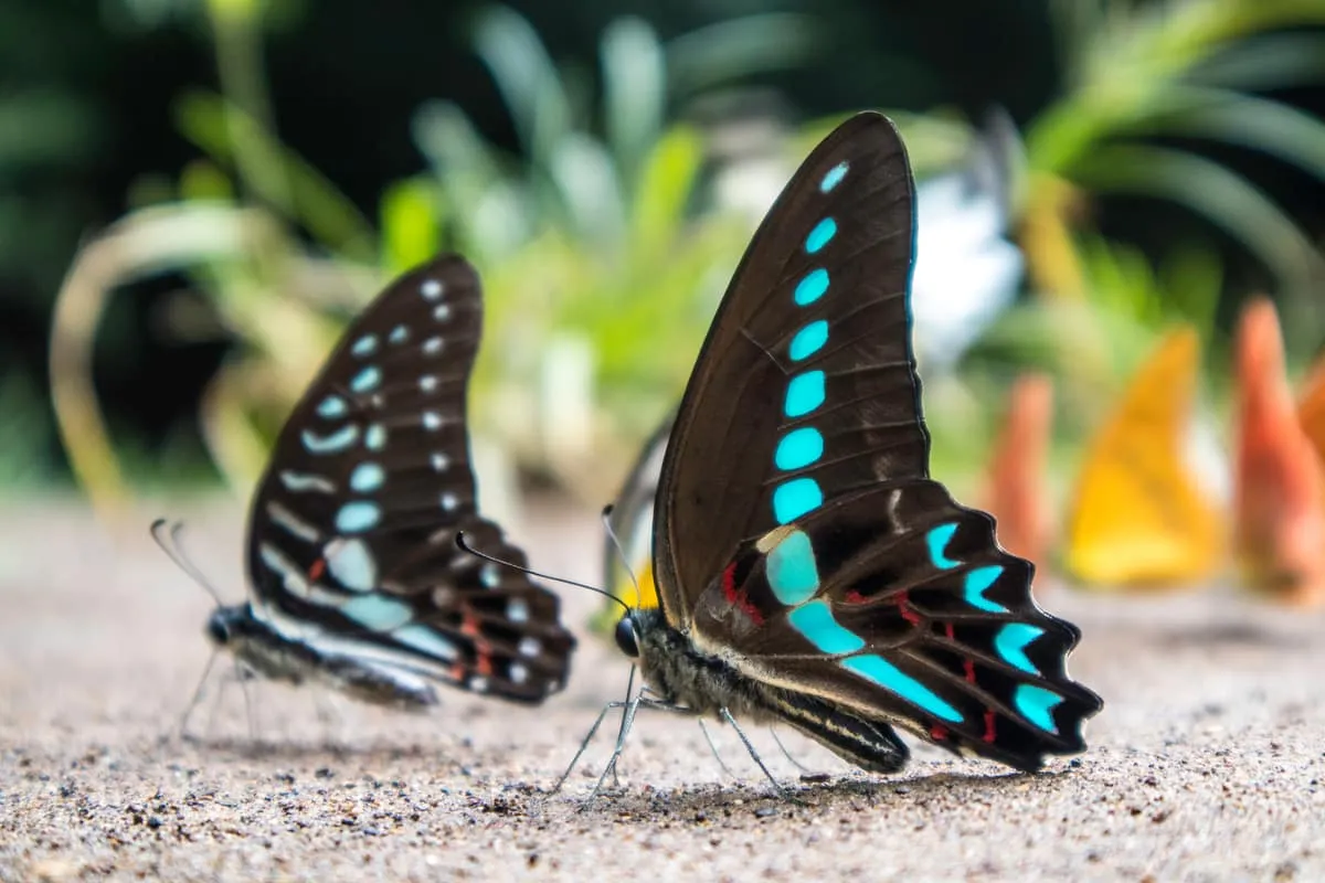 4 Objek Wisata di Makassar yang Seru Buat Liburan!