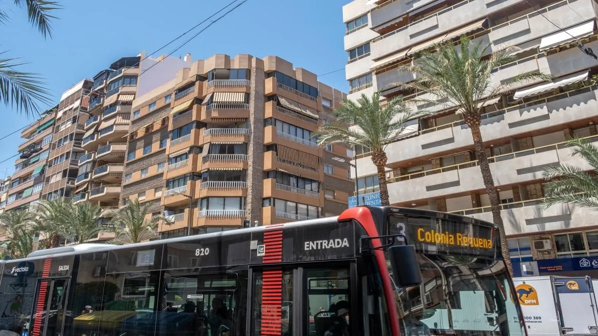 Alicante Bus 11zon 11zon