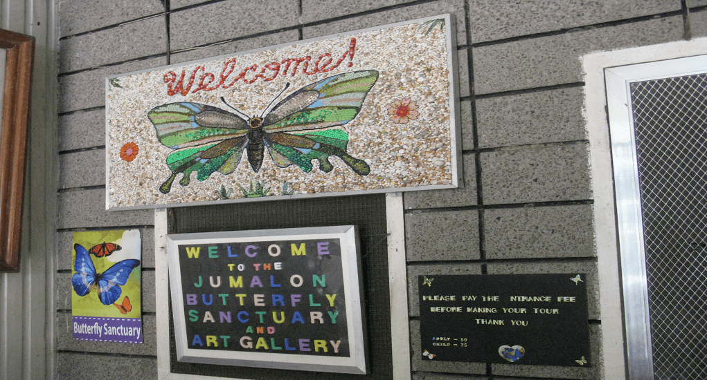 Cebu - Jumalon Butterfly Sanctuary