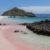 Explore The Beauty of Pink Beach Lombok, Don’t Miss It!!!!