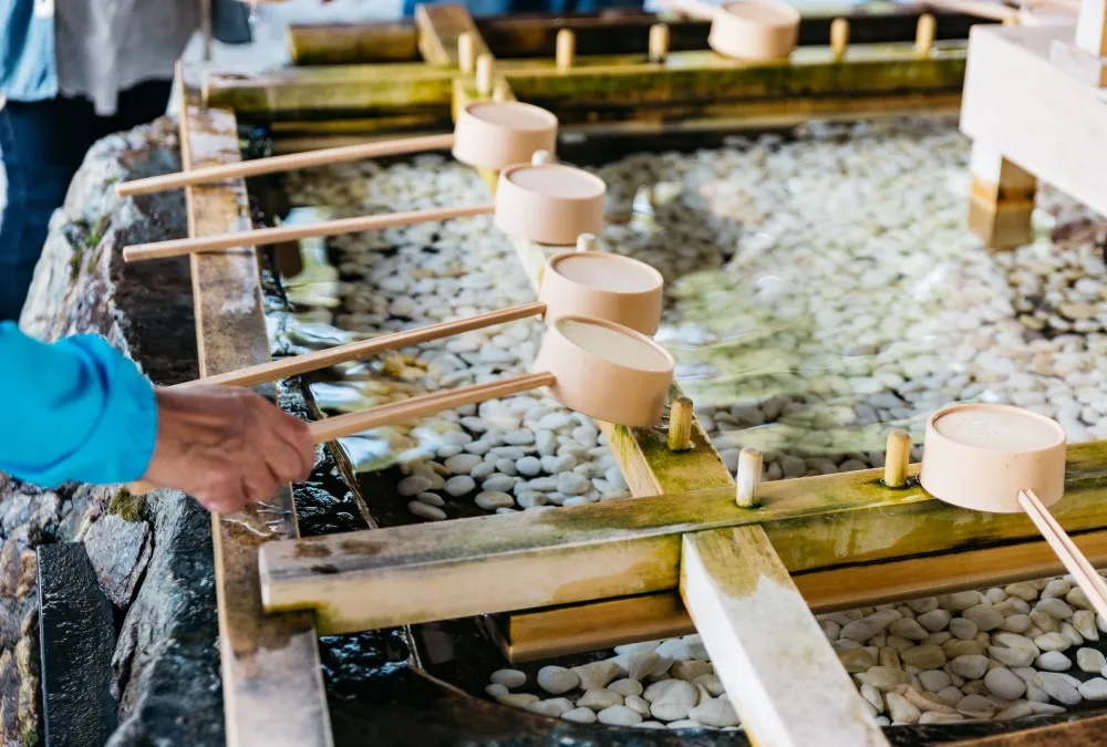 北海道令人刮目相看,让你不想回家! 8 金阁寺