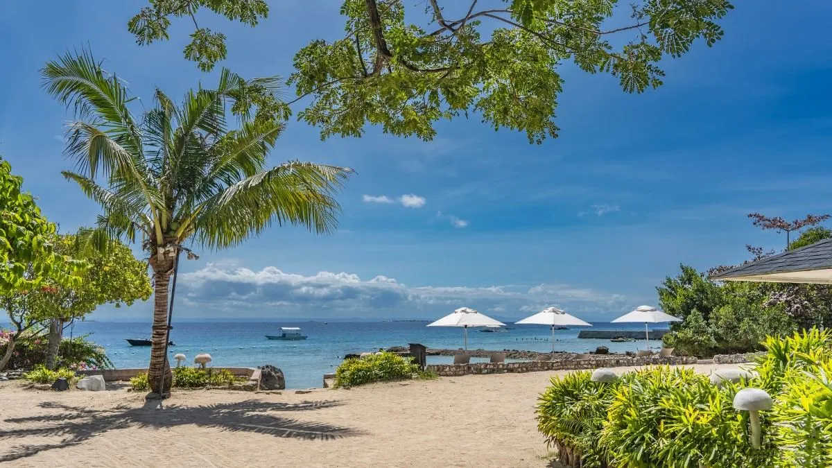 Hotel di Cebu 11zon 11zon