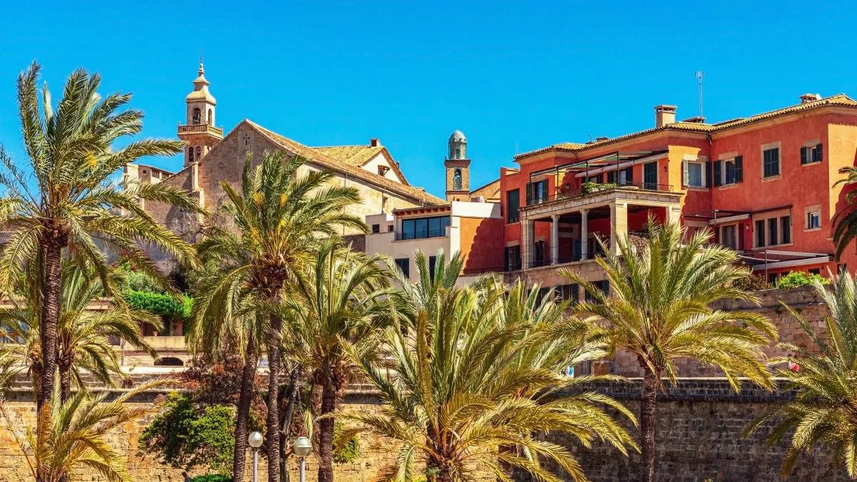 Hotels Near Palma Airport 11zon 11zon