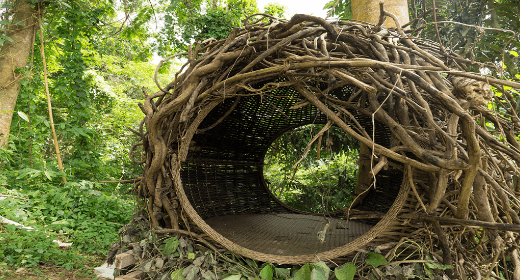 Kokol Elf - Feature Image