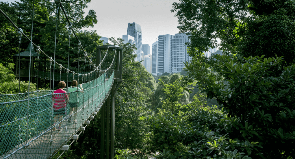 Kuala Lumpur - KL Forest Eco Park
