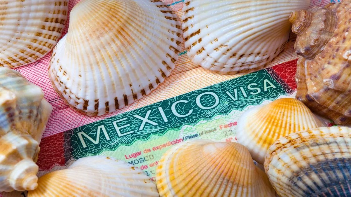 Mexican Visa 11zon 11zon