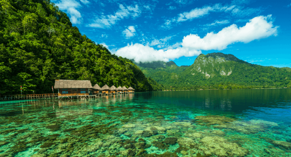 Ora Beaches - Feature Image