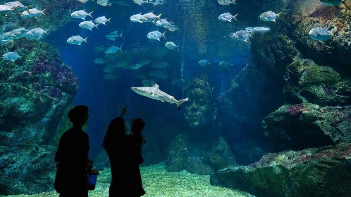 Siam Aquarium 11zon 11zon