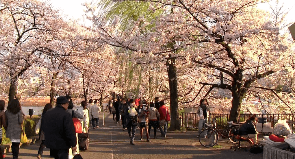 Tokyo - Ueno Park