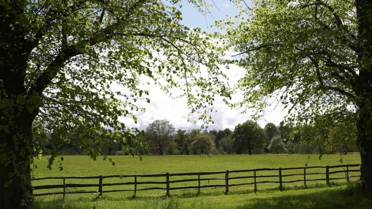 Cotabato attractions