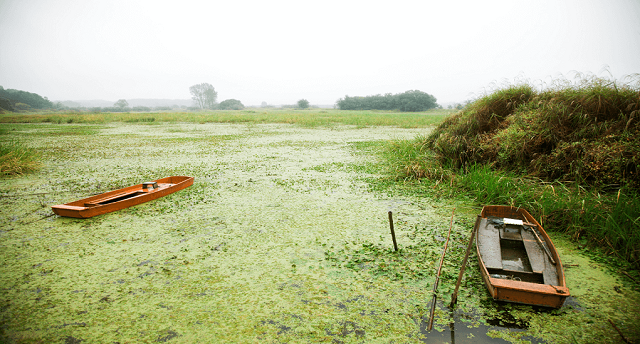 Upo Marsh