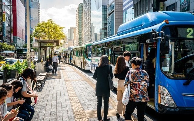 buses