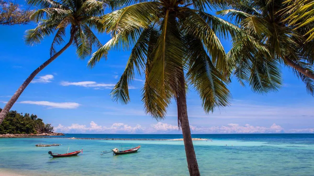 Going to Koh Phangan From Samui Airport: Plan a Smooth Trip! 1 koh phangan 11zon 11zon