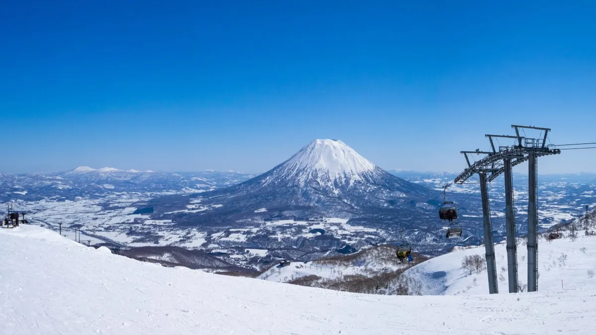 niseko 11zon