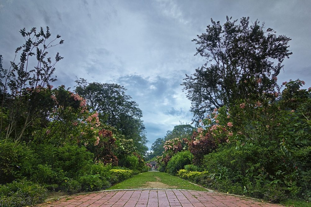 penang botanical garden | Airpaz Blog - The Most Complete Holiday Tips